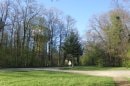 Delle, bois du Chênois